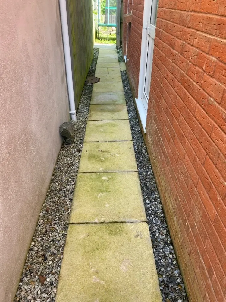 A side path in Plymouth before cleaning